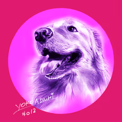 615985665030014359151933937920093135833066652334280591351370841919280119809