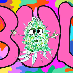 Bud 9