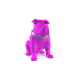 66356733240782896990189205229152515096004912978266210578073828281921841397761