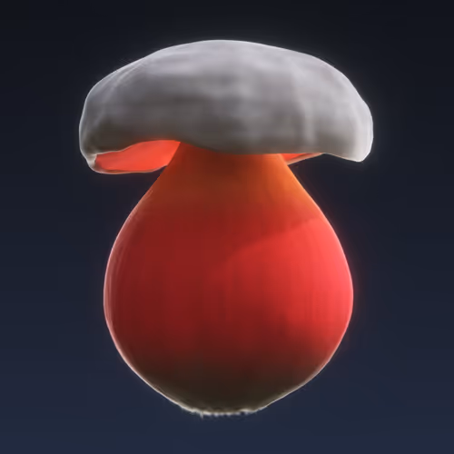 Item #95653877050150474555742155054455970472164202465768371638498213982181183717377 Media