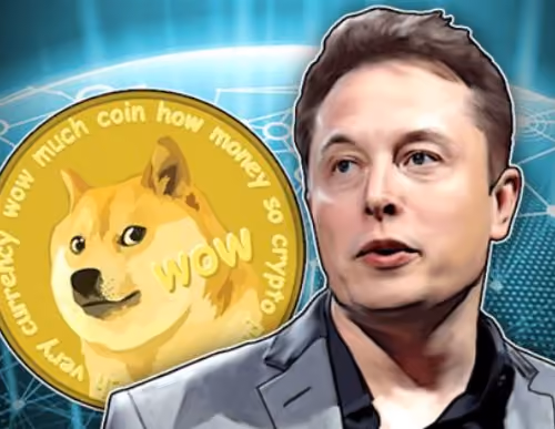 Elon Musk DogeCoin Art One of a Kind