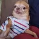 9859859204540150861143805388061845764136895871590577661495031104407391436805