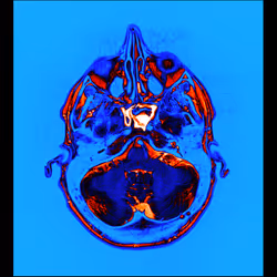 64162533542198579898252916190583583845604629893829087458582975892027552563201