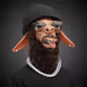 The Llama Fame