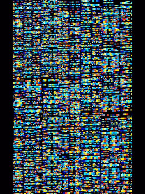 Item #55860224938085630042297357848007026744914888463498532836798339190582142828545 Media