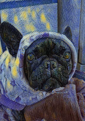 HoneyBabyC3 Collection