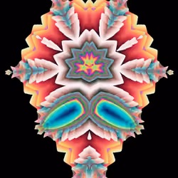 Fractal Symbols | Wild Bloem