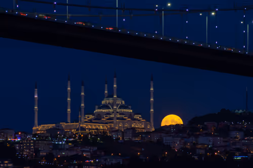 Item #42729861163771567341829383527928804346395504849525264536095462046494441340929 Media