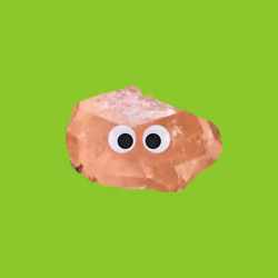 PetRock #028