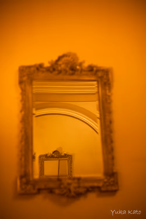 Item #111326101478107214990251795731047965840392207690526379209547236987284714684417 Media