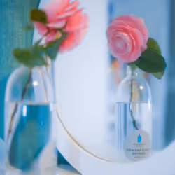 #27 The flower in the mirror