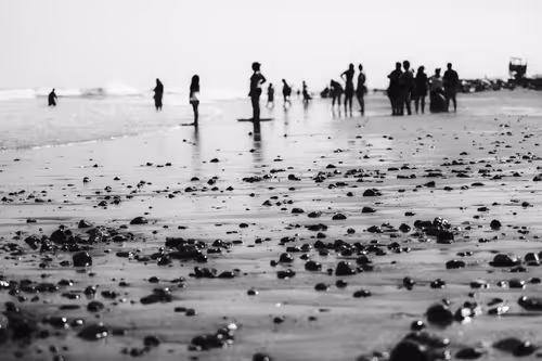 Item #33133418116115063529352542376683175373255544775551034598216737134268737650689 Media