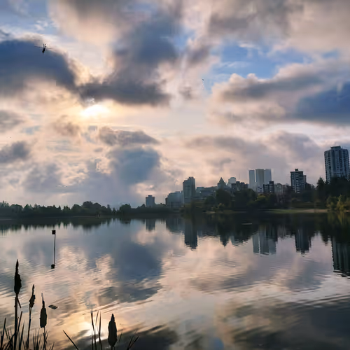 Untitled Collection #317223569