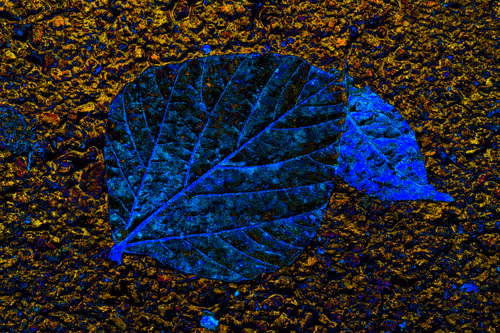 Item #11128123256113201505825332092376579448973501376012613523417643026084437950465 Media