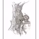 Dendroathropos