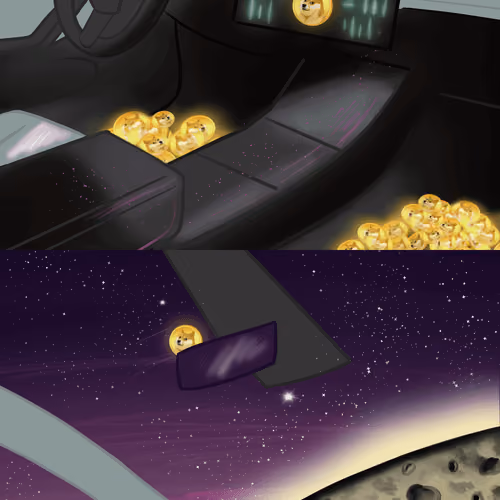 DOGE SPACE X