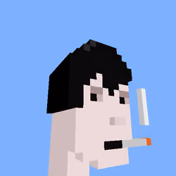 PunkVoxels #9365
