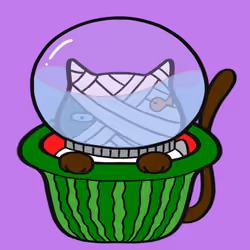 Shabu x Coolcat