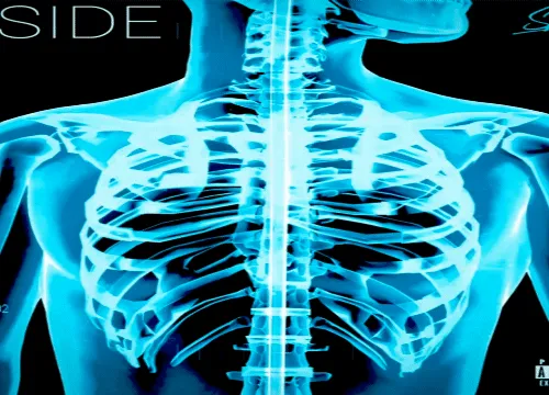 91723355835428206443463994847373715387351693993011789405940360590510851620865