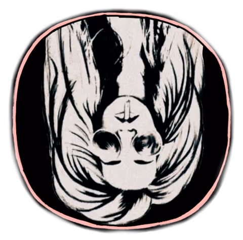 Item #85906662622493889269525054120390254351192400408264024505621426686731959140353 Media