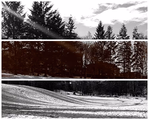 Item #93053345954396449184125693441989771853950921288224263024317593478097562238977 Media