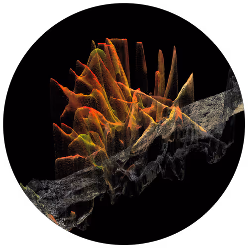 Item #3297889266964821186108216166808061648097153390725508810487041792686726053889 Media