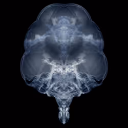 85859191866638808365331437874953228966785819470149775310971063524299645124609