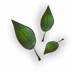 84095843279643989357089024802437267244550491417541544316462293900267505057793