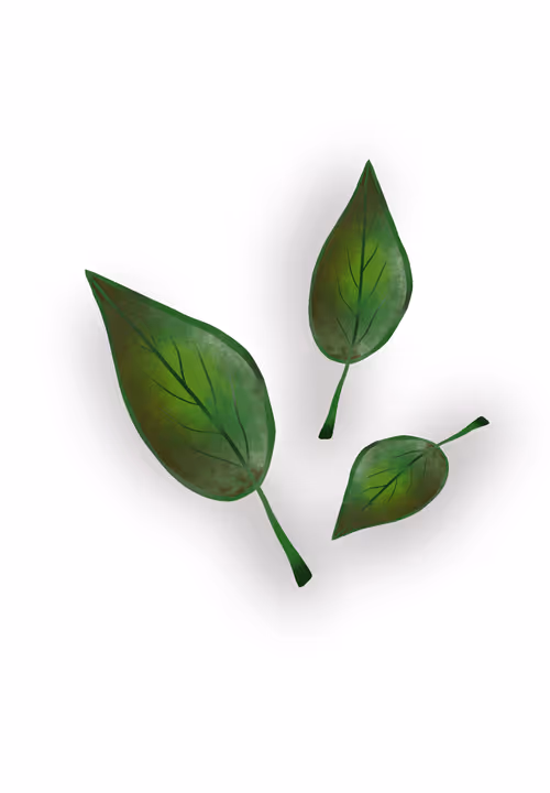 Item #84095843279643989357089024802437267244550491417541544316462293900267505057793 Media