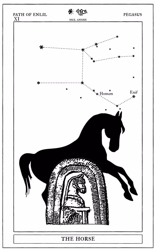 Item #72428202001668189821112342847260883540127111684781981942259052877239549952001 Media