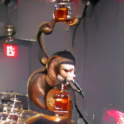 Bourbon Monkey