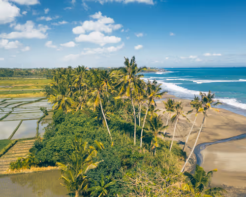 Item #36803766187647196690517014366493952358167166362150973793678746413624813682689 Media