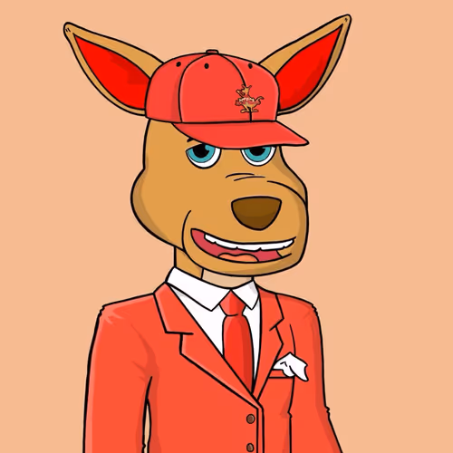 mrpolished Collection