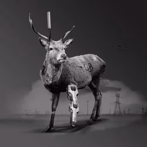 Item #94793375044131271072606030390037051007098744870471061673242960895689181102081 Media