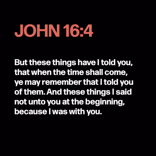 Item #22053356606985035317572807567829034573317121579682343289603650243440857317377 Media