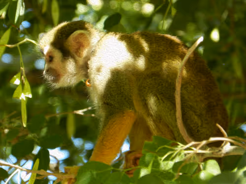 Item #95619151568614802974454947629602672965769746893472874508208249409891448389633 Media