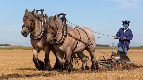 Item #6846380787664880488155721799199731856795783460720903299675781041942601662465 Media