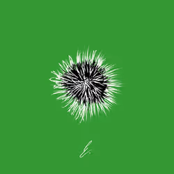 When is it just a mess? 3/6
