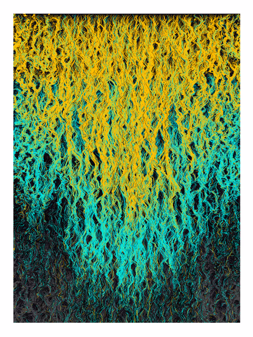 Item #56813891138505589524248820497396899211661274177647534599994189538614950494209 Media