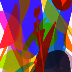 STARGAZER