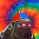 9250605307595587702394234850661833939238315302181593942266886296202979049473
