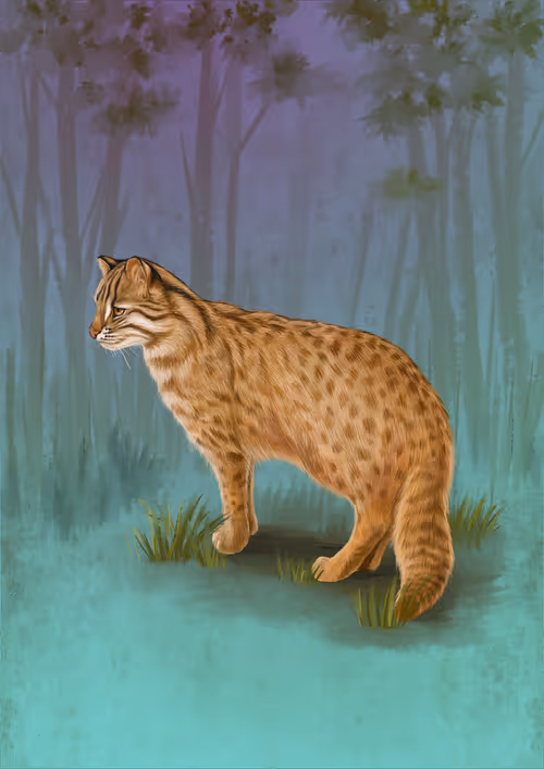 Item #113158669374427839684248314488913715368730880920869844839548125311257465061377 Media