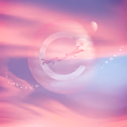#3 - Celsius A YIELD ROMANCE.