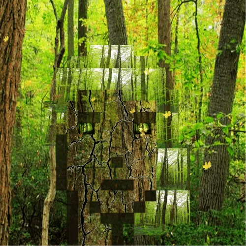 Item #114603769917268140533781034273053154805154959472271632639315082313216915668993 Media