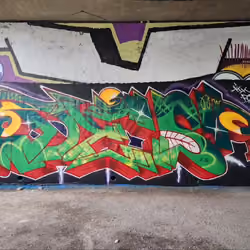Dragon (Desoler) Spraypaint Graffiti