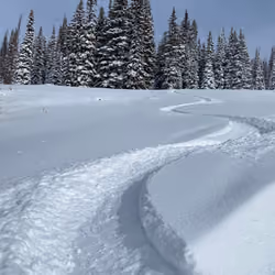 Powder turn #3