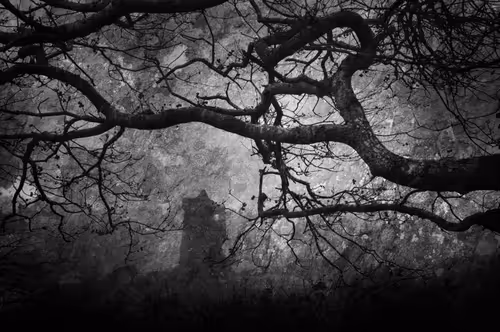 Item #40160686583094733528677484039903516258611509642019211679321071379204863426561 Media