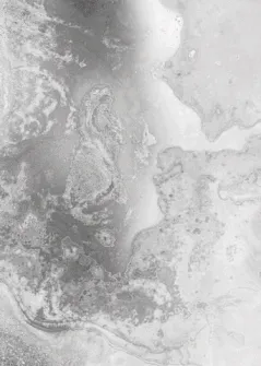 Item #24822309215306814909382858146219744079137228993562935620839616753217661042689 Media