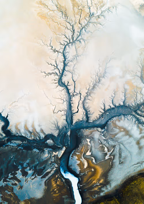 Item #37166292038875349810746612837735462118935835935702038300656537510391127736321 Media