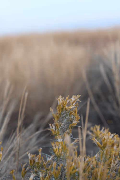 Item #42956466618878321387532578261577756492161920653755194423256676464823564763137 Media